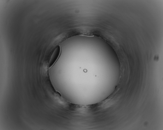 X0000102350288200808081201