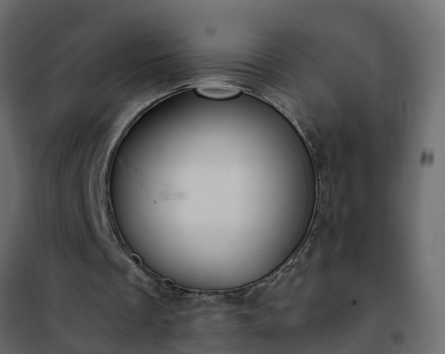 X0000102350289200808081201