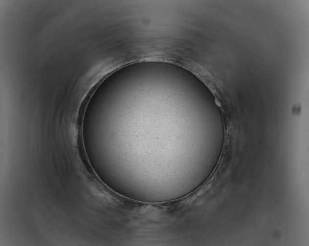 X0000102350290200808081201