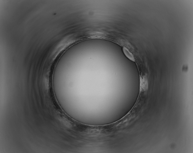 X0000102350291200808081201