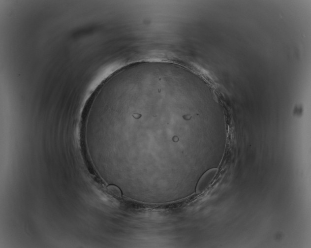 X0000102350292200808081201