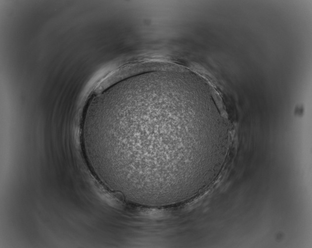 X0000102350293200808081201