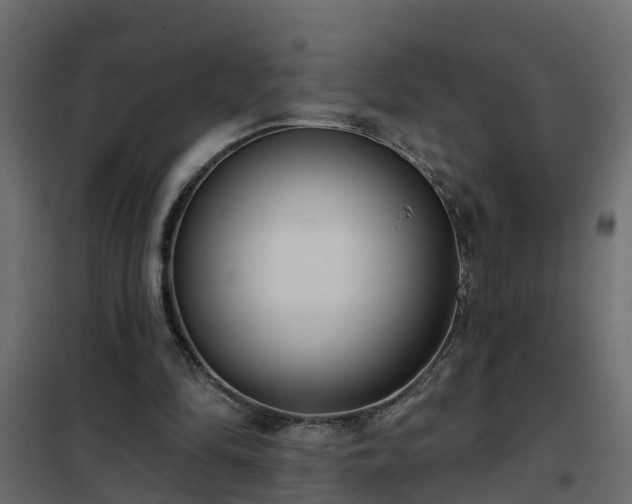 X0000102350294200808081201