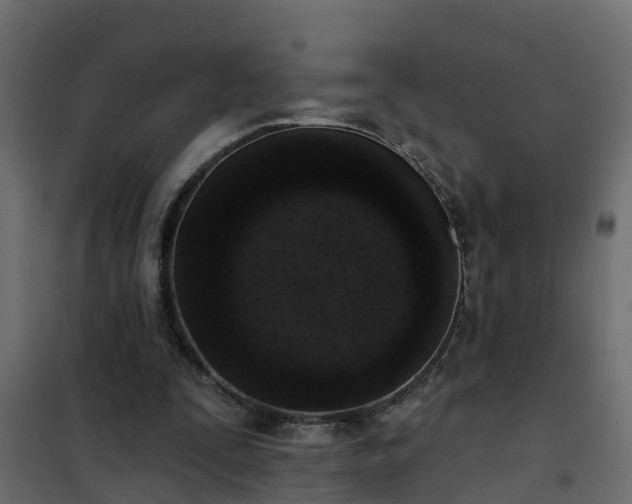 X0000102350295200808081201