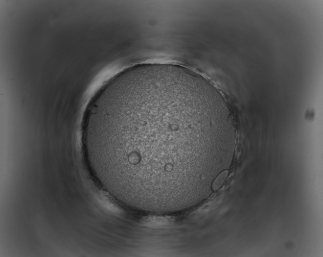 X0000102350296200808081201