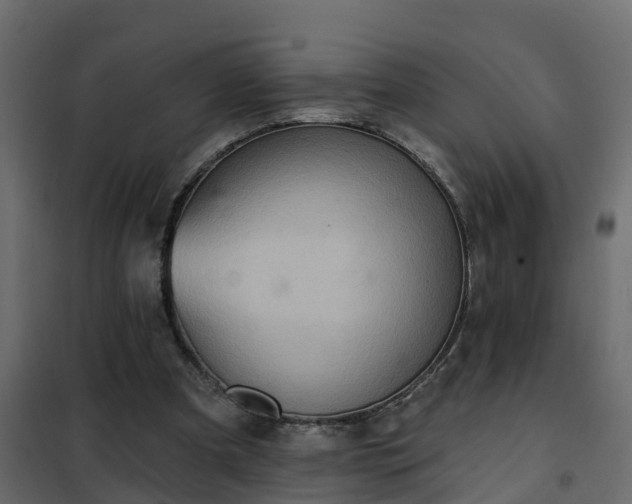 X0000102350297200808081201