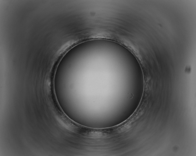 X0000102350298200808081201