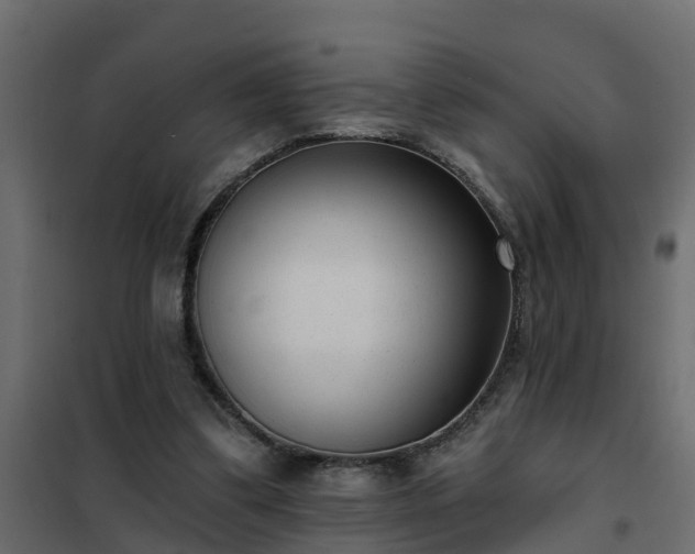 X0000102350299200808081201