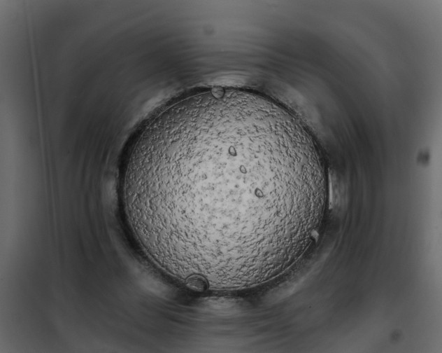 X0000102350300200808081201