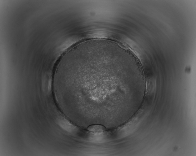 X0000102350301200808081201