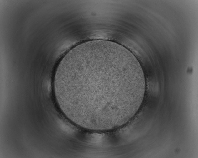 X0000102350302200808081200