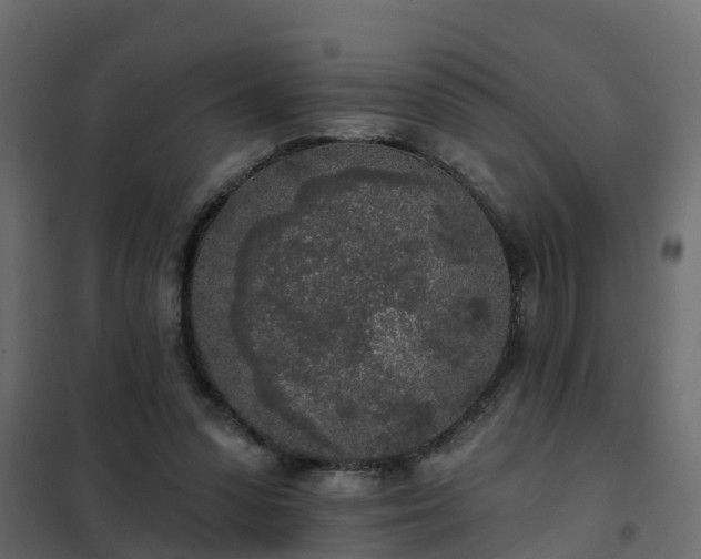 X0000102350303200808081200