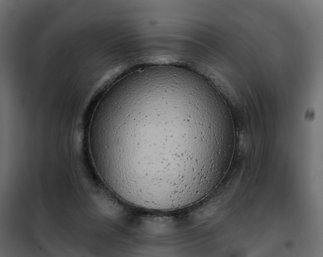 X0000102350304200808081200