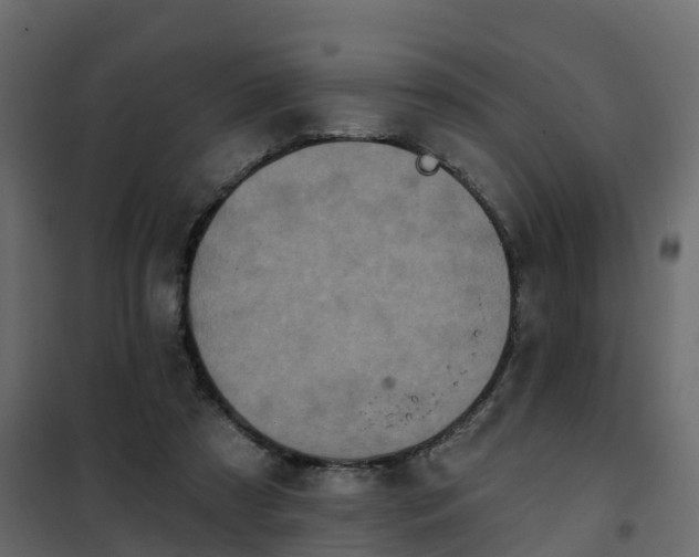 X0000102350305200808081200