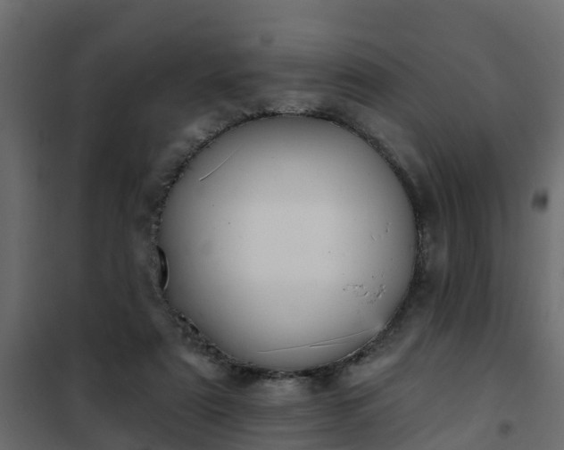 X0000102350307200808081200