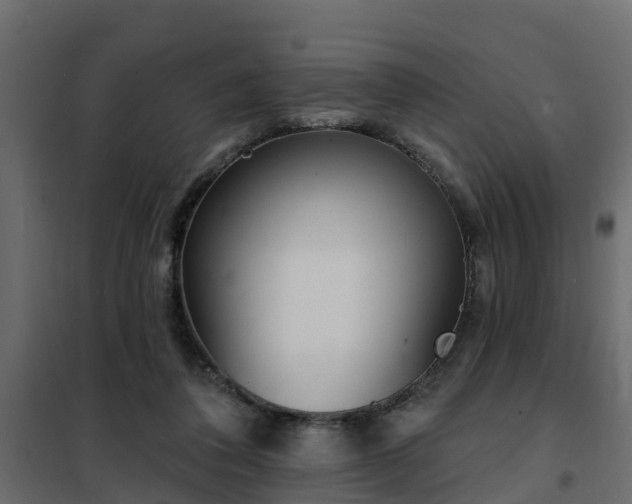 X0000102350308200808081200