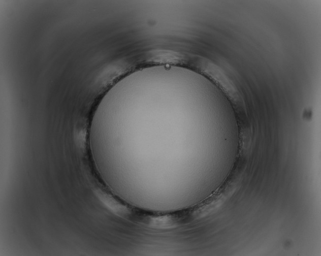 X0000102350309200808081200