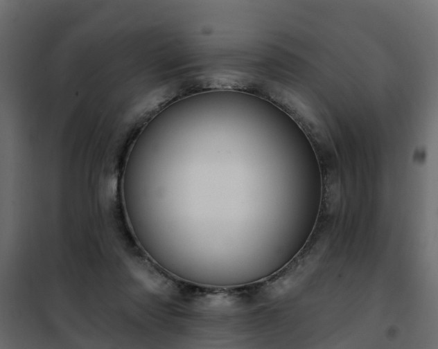 X0000102350310200808081200