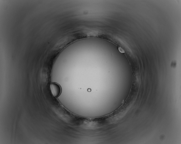 X0000102350311200808081200