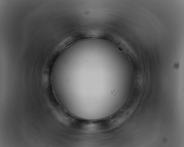 X0000102350312200808081200