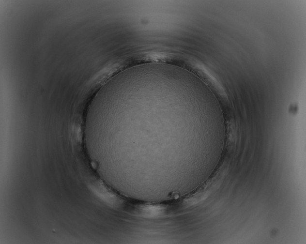 X0000102350313200808081200