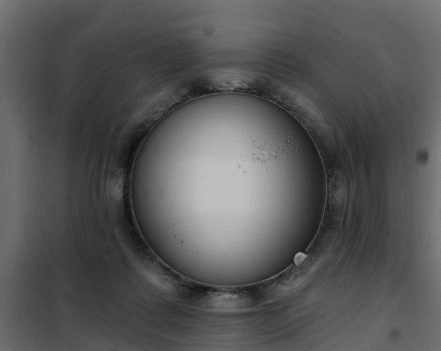 X0000102350315200808081200