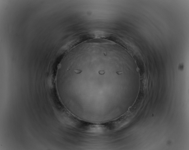 X0000102350316200808081200