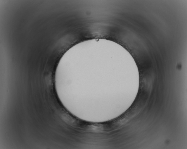 X0000102350317200808081200