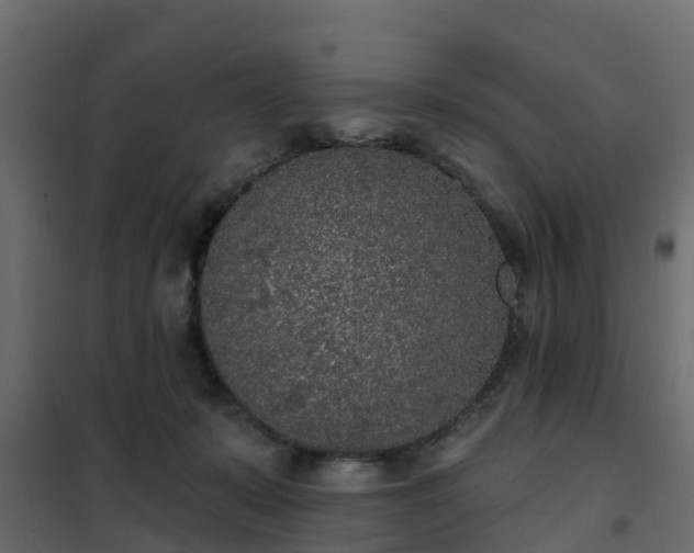 X0000102350319200808081200