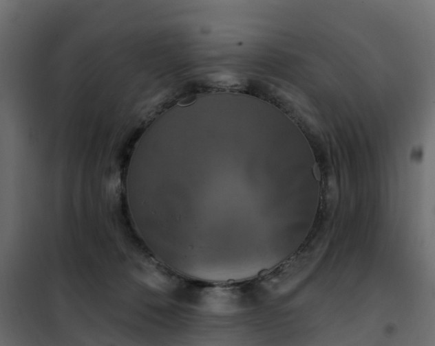 X0000102350320200808081200