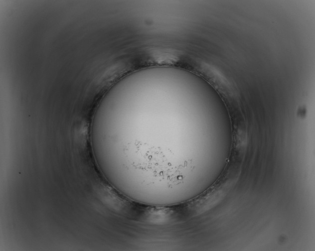 X0000102350321200808081200