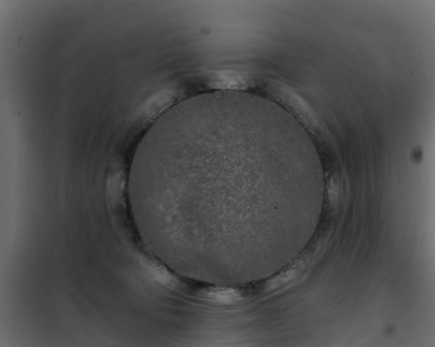 X0000102350322200808081200