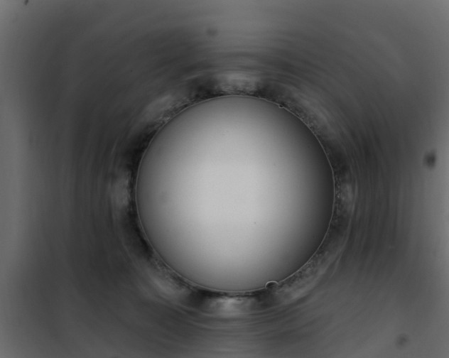 X0000102350323200808081200