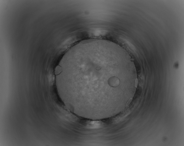 X0000102350324200808081200