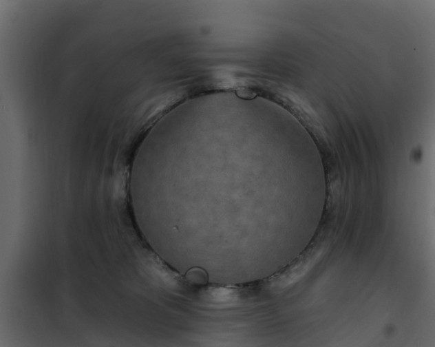 X0000102350325200808081200