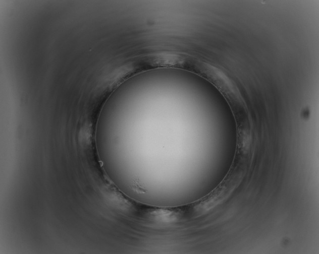 X0000102350326200808081200