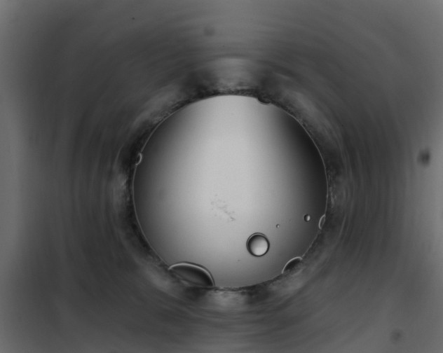 X0000102350327200808081200