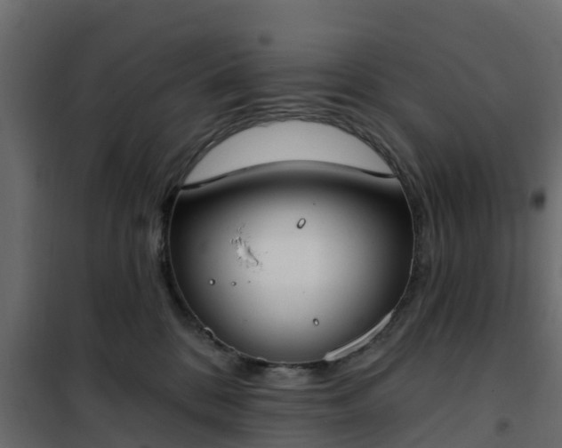 X0000102350328200808081200