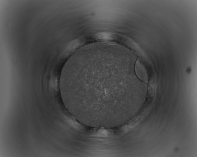 X0000102350330200808081200