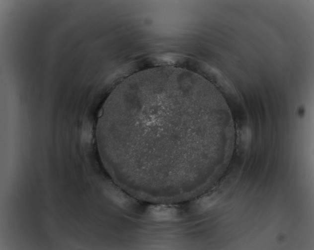 X0000102350331200808081200