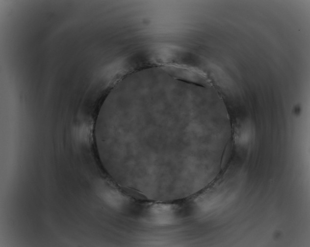 X0000102350332200808081200