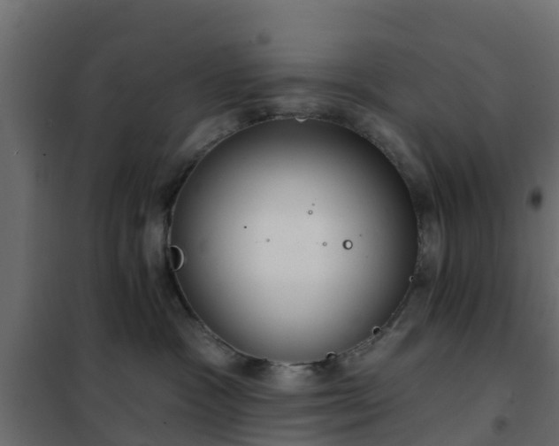 X0000102350333200808081200