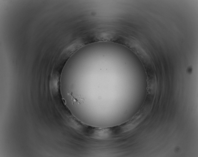 X0000102350334200808081200