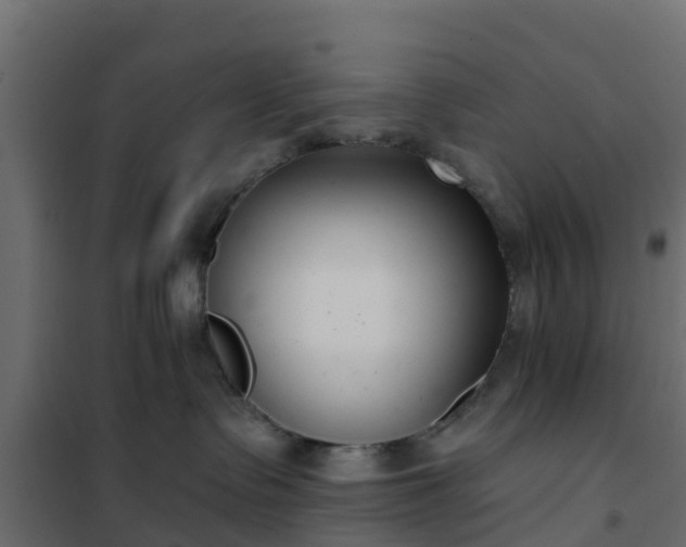 X0000102350335200808081200