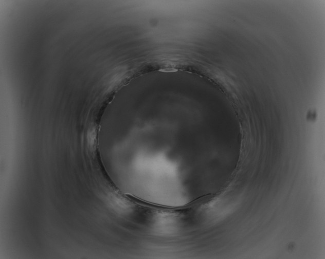 X0000102350336200808081200