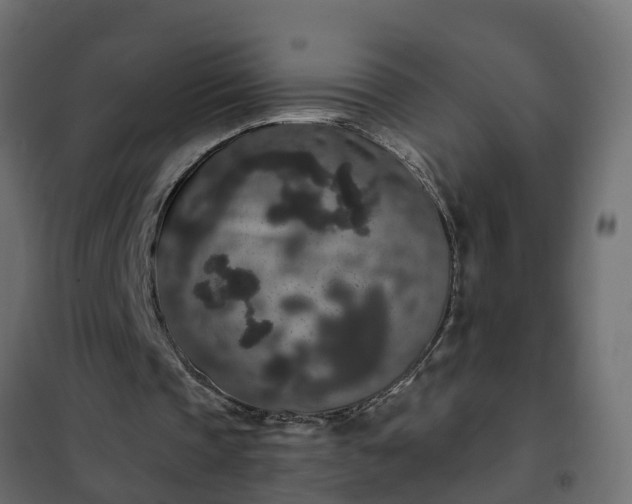 X0000102350337200808081159