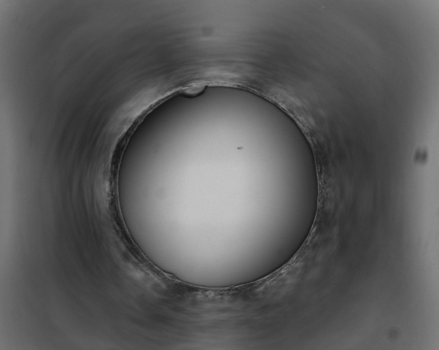 X0000102350338200808081159