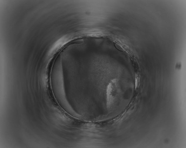 X0000102350339200808081159