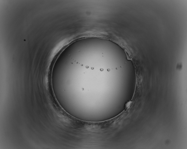 X0000102350340200808081159