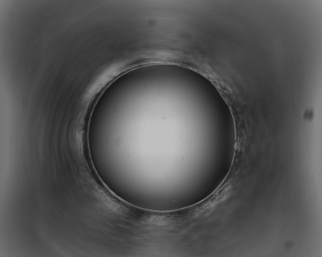 X0000102350341200808081159